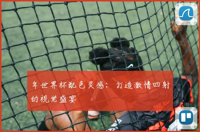 年世界杯配色灵感:打造激情四射的视觉盛宴